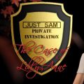Just Sam: The Case of Lilly-Anne (Chapter 1)