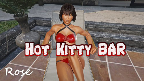 Hot Kitty BAR