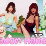 Kingdom Harem